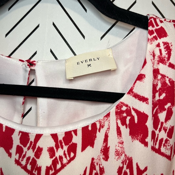 Everly Red and White Sleeveless Dress - Picture 6 of 12
